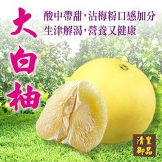 清皇御品 麻豆謝家大白柚 10台斤 (4-7粒)