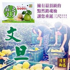 清皇御品 麻豆文旦(郭) 5台斤 (5-8粒)