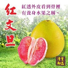 清皇御品 麻豆 紅文旦 (郭)5台斤 (2-6粒)