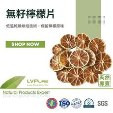 去油解膩 即時鮮泡檸檬乾 天然無籽檸檬片+耐熱玻璃水瓶 《天然專賣》