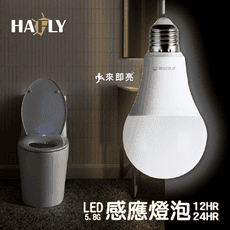 HAFLY LED5.6G感應燈泡 12W  球泡 戶外燈泡 感應省電 自動亮燈 全電壓