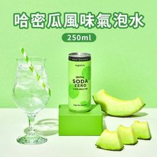 【韓味不二】韓國哈密瓜風味氣泡水250ml/罐