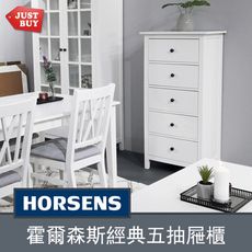 一般地區免運【JUSTBUY】霍爾森斯經典北歐五抽屜斗櫃 HR0008