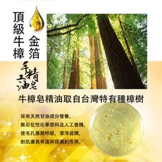 頂級牛樟精油金箔皂