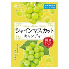 +東瀛go+ LION 獅王 麝香葡萄糖 71g 硬糖 麝香葡萄 葡萄糖  糖果 日本必買 日本進口