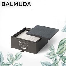 BALMUDA A01D 空氣清淨機 專用 P100濾網 公司貨