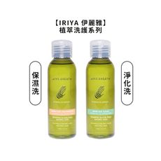 【魅惑堤緹🚀】IRIYA 伊麗雅 植萃保濕洗髮精 植萃淨化洗髮精 100ml 控油 保濕 淨化