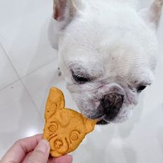 【喵犬室】Hundsfutter天然純素狗餅乾 (狗形狀)- 150g