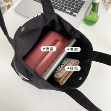 包包女迷你帆布包女學生韓版可愛精致小手提包手拎包便攜式包包
