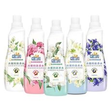 熊寶貝~香水精華柔軟護衣精(700ml) 款式可選　護衣精/柔軟精/衣物芳香 D116483