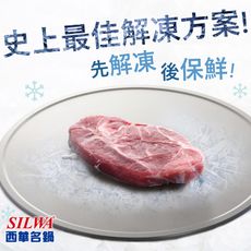西華SILWA 節能冰霸極速解凍+燒烤兩用盤