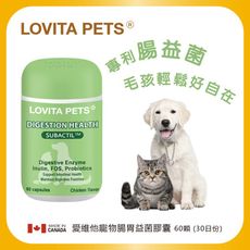 LOVITA PETS 愛維他寵物 腸胃益菌膠囊