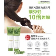 Herbalife  蘆薈洗髮露