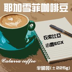 【C.L居家生活館】耶加雪菲 Yegacheffe/衣索比亞產地/精品咖啡豆/半磅裝