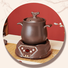 現貨一日達【Felsted 菲仕德】全自動中藥煎藥壺 分體式煎藥壺 2.2L大容量煎藥壺 養生壺