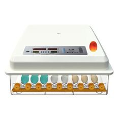 【浪漫西街】36枚雙電源可接12V自動控溫 全自動家用型小雞孵化器 110V孵化機小型孵蛋器 現貨