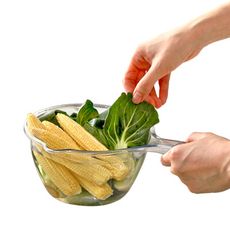 FaSoLa日本透明水瓢