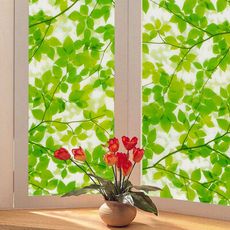 日本MEIWA抗UV節能靜電窗貼 (綠葉盈窗)-92x1500公分