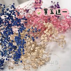 ❤︎台灣現貨❤︎天然乾燥花滿天星 不凋花 送禮花束 畢業花束 生日禮物居家擺設「有感選物」