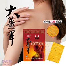 【樹飛雪】大薑軍電氣石貼布10入