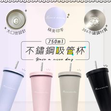 【環保不鏽鋼保溫杯】莫蘭迪系列 不鏽鋼吸管杯（750ml）