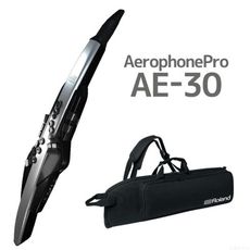 零卡分期 Roland AE-30 Aerophone Pro 電子吹管 電子長笛/薩克斯風AE30
