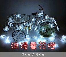 LED雪花燈6米 白光 暖白光 常亮USB款  串燈 圓球燈 雪花燈 聖誕燈
