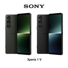 SONY-XPERIA 1 V-12G256G