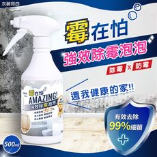 衣麗亮白【霉在怕】強效除霉泡泡 500ml 除霉劑 除垢 去黴劑 清潔劑 浴室 廚房 家用清潔