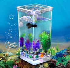 魚缸 現貨 自動換水懶人魚缸 水族魚缸(不含燈)