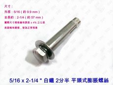 【100支/包】2分半 5/16 x 2-1/4 白鐵 平頭式壁虎 兩分半 R5