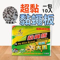 (  一包10張 )黏蠅板 捕蠅紙 誘蠅紙 捕蠅板 KH028