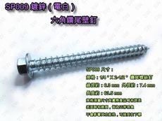 SP009 六角頭鑽尾螺絲 1/4X2-1/2〞電白水泥壁釘（100支 /包）