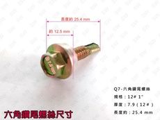 Q7 六角頭自攻牙螺絲 12＃x 1'' 鍍鋅（200支 /包）