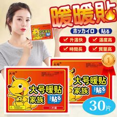 暖暖貼 大號款【30入】寒流必備 暖手寶 熱敷貼 發熱包 保暖貼  暖宮貼 暖腳包 BF003