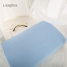 LAMINA 記憶午睡枕-1入