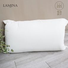 LAMINA吸濕排汗柔眠枕-1入