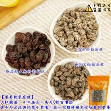 極品葡萄乾家庭號任選 500g (薄荷冰梅葡萄乾 極品超大無籽葡萄乾 梅子粉葡萄乾)