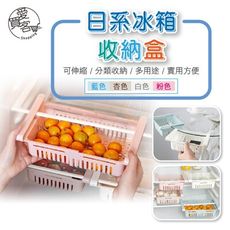 日系冰箱收納盒 台灣出貨 冰箱置物層 冰箱置物 收納盒 廚房 收納 抽屜 抽屜式收納 保鮮收納盒