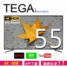 TEGA 55吋 4K 聯網液晶電視顯示器 WC-554KS