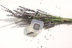 RanRan1913 【你還有臉見人! ?】 精油手工皂100g (多種香味）