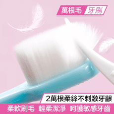 現貨 日本熱銷超柔級萬毛牙刷 孕產婦 牙齦流血  牙齦敏感皆適用