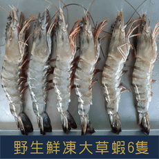 野生鮮凍大草蝦6p 實重300g±10%