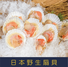 日本野生扇貝8-9cm*10顆/包