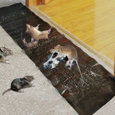 【DL312】滅鼠魔毯 超強力捕鼠板 黏鼠帶 粘鼠板 捕鼠器 捕鼠毯 黏鼠毯 黑底黏鼠魔毯