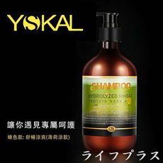 【一品川流】YSKAL伊偲蔻爾小麥蛋白修護洗髮精-500ml-涼感薄荷