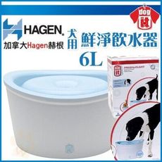 加拿大Hagen赫根《犬用-鮮淨飲水機》循環設計超大容量-6L