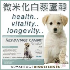 RESVANTAGE CANINER微米化白藜蘆醇 愛犬專用