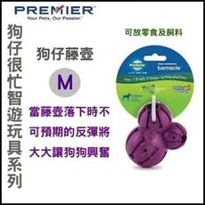 Premier普立爾 犬用智遊玩具-狗仔藤壺 M號 耐咬耐啃 狗玩具