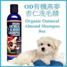 美國 OD阿比與黛西《燕麥杏仁洗毛精》-8oz 有機認證